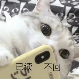🐱 emoji Cc stickers2  @DOGBUYBUY Telegram sticker 7 of 120