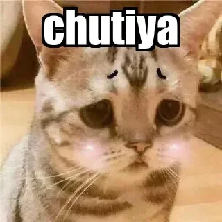 😟 emoji @hackernimrat Telegram sticker 9 of 57