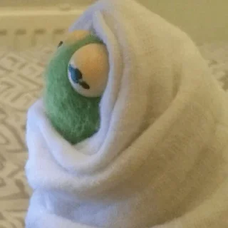 😀 emoji 💚🐸Kermit🐸💚 Telegram sticker 9 of 15