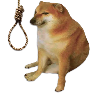 😵 emoji अभिषेक's Pack (@chizuru_mizuhara_robot) 2 Telegram sticker 5 of 92