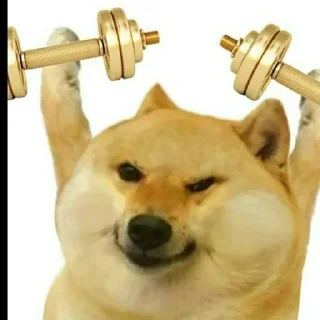 💪 emoji अभिषेक's Pack (@chizuru_mizuhara_robot) 2 Telegram sticker 9 of 92
