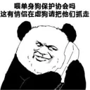 😔 emoji 搞笑熊猫系列 👉 @zh_chu 👈 Telegram sticker 23 of 81
