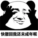 🙈 emoji 搞笑熊猫系列 👉 @zh_chu 👈 Telegram sticker 20 of 81