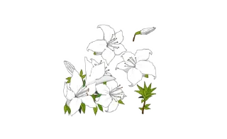Sticker from ㅤ ㅤ✶  ׄ  🪴. @dvngerous props.