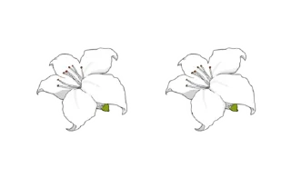 Sticker from ㅤ ㅤ✶  ׄ  🪴. @dvngerous props.