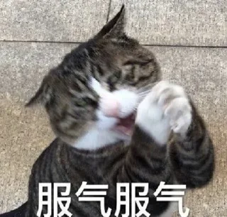 Sticker from 还是咩都无，又穷又样衰