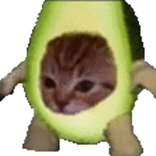 🐈 emoji Fruit @NyaaNeko Telegram sticker 21 of 50
