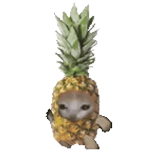 🐈 emoji Fruit @NyaaNeko Telegram sticker 23 of 50
