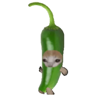 🐈 emoji Fruit @NyaaNeko Telegram sticker 20 of 50