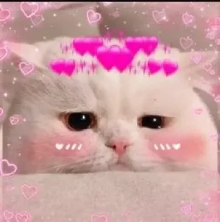 Sticker from Shreyanshi's sticker pack (@Toga_Robot)