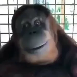 👍 emoji Janvi 2 🐒🐵@BADDAsS_FUFA Telegram sticker 7 of 81