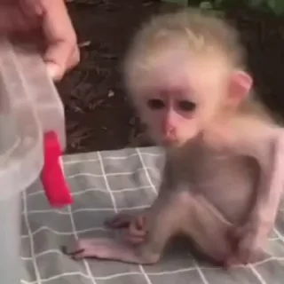 😕 emoji Janvi 2 🐒🐵@BADDAsS_FUFA Telegram sticker 11 of 81