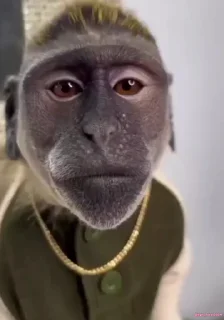 😄 emoji Janvi 2 🐒🐵@BADDAsS_FUFA Telegram sticker 13 of 81