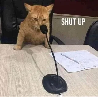 🤔 emoji Cat Memes Telegram sticker 14 of 28