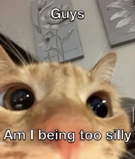 🤔 emoji Cat Memes Telegram sticker 10 of 28