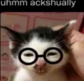 🤔 emoji Cat Memes Telegram sticker 18 of 28