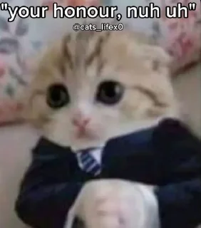 🤔 emoji Cat Memes Telegram sticker 1 of 28