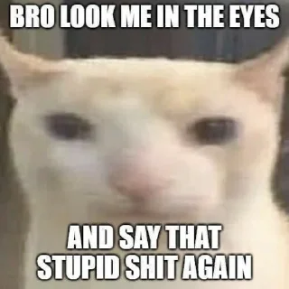 🤔 emoji Cat Memes Telegram sticker 15 of 28