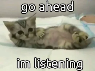 🤔 emoji Cat Memes Telegram sticker 8 of 28