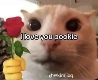 🤔 emoji Cat Memes Telegram sticker 9 of 28