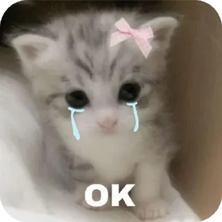 🐱 emoji Yeh inki mkc Telegram sticker 23 of 67
