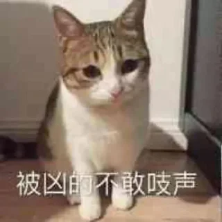 😀 emoji 菲凡社区 @tg188188 Telegram sticker 12 of 94
