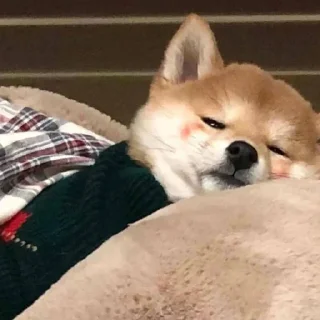 🌟 emoji 什么爱不爱的烦死了 Telegram sticker 22 of 115