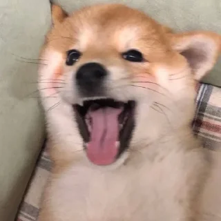 😂 emoji 什么爱不爱的烦死了 Telegram sticker 14 of 115