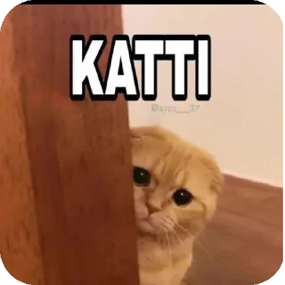 🐱 emoji 𝙰𝚢𝚞𝚜𝚑's kang pack Telegram sticker 19 of 47