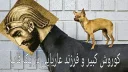 🐩 emoji Korosh Kabir Pack Telegram sticker 8 of 25