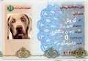 Sticker from Korosh Kabir Pack