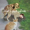 Sticker from Korosh Kabir Pack