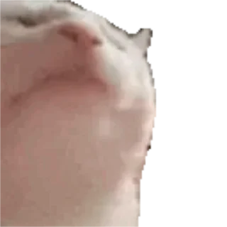 🎶 emoji @xxxxxxQ_Q 的私藏（1）（Video） Telegram sticker 11 of 64