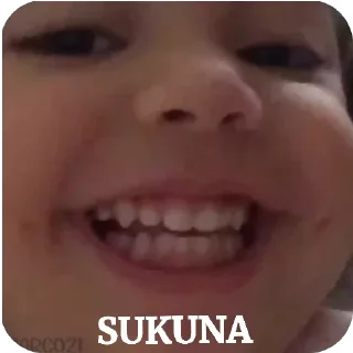 Sticker from ❟❛❟ Aʟᴘʜᴀ ꭙ Sᴜᴋᴜɴᴀ ⃪➛'s video pack (@SukunaXRobot)