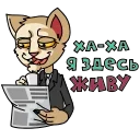 😀 emoji @Sed_af's kang pack Vol.1 (Animated) Telegram sticker 6 of 23