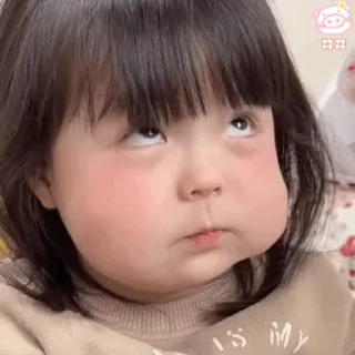 Sticker from 又再片我生女儿