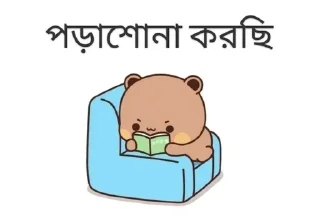🌟 emoji @your_napa_extra's Kang Pack Vol.0 Telegram sticker 17 of 120