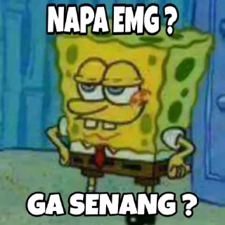 🖕 emoji Meng rasis @Menggabuttod Telegram sticker 15 of 46