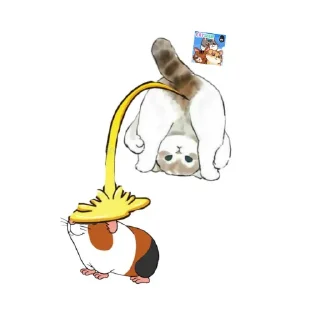 🐦 emoji Curut combret Telegram sticker 9 of 71