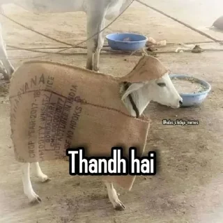 Sticker from 𝐆𝐨𝐣𝐨 𝐘𝐚𝐝𝐚𝐯's Chinarai