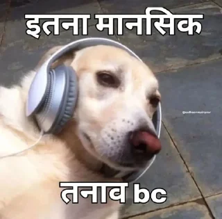 🙂 emoji 𝐆𝐨𝐣𝐨 𝐘𝐚𝐝𝐚𝐯's Chutiyape Telegram sticker 24 of 57