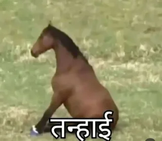 Sticker from 𝐆𝐨𝐣𝐨 𝐘𝐚𝐝𝐚𝐯's Chinarai