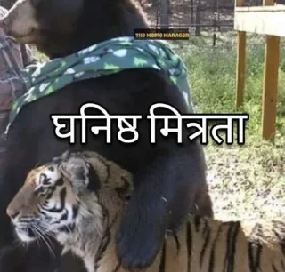 Sticker from 𝐆𝐨𝐣𝐨 𝐘𝐚𝐝𝐚𝐯's Chinarai