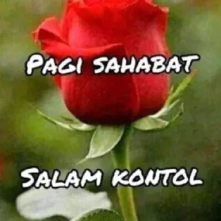 🌹 emoji mik e gemoy Telegram sticker 7 of 8