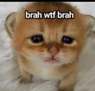 Sticker from MIMIS  |  Anicade