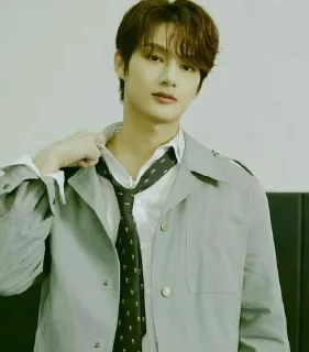 💗 emoji Mr.junhui Telegram sticker 3 of 23
