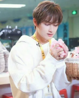 💗 emoji Mr.junhui Telegram sticker 17 of 23