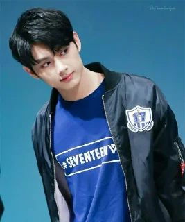 💗 emoji Mr.junhui Telegram sticker 10 of 23