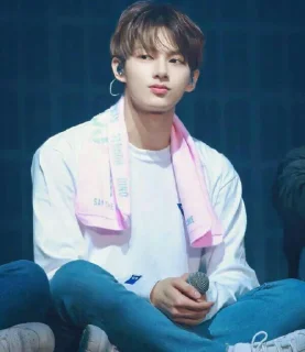 💗 emoji Mr.junhui Telegram sticker 15 of 23