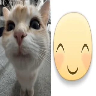 🌟 emoji Kindi (&.) Elou pack's. ♥️ Telegram sticker 23 of 39